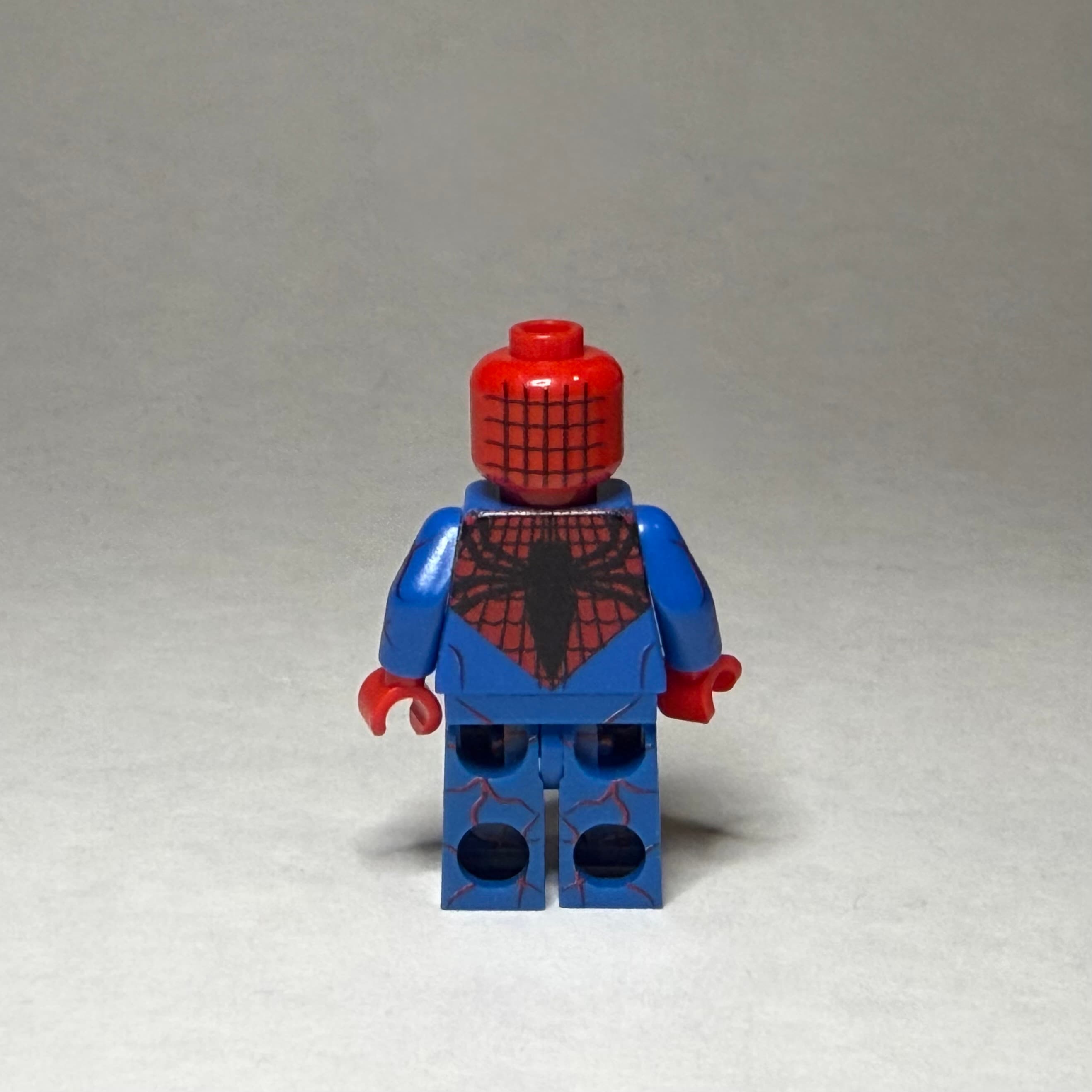 Spider Carnage photo 2