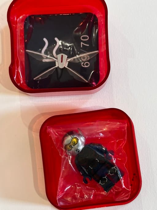 The Wasp Funny Bricks
